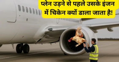 bird strike test