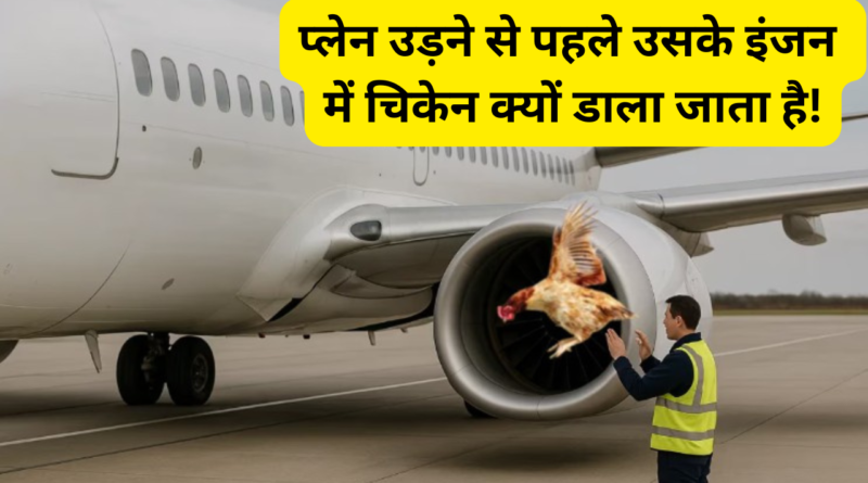 bird strike test